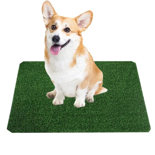 Dog Grass Pee Pads